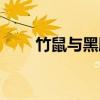 竹鼠与黑豚（关于竹鼠与黑豚介绍）