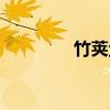 竹荚鱼（关于竹荚鱼介绍）