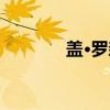 盖·罗森（关于盖·罗森介绍）