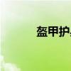 盔甲护身（关于盔甲护身介绍）