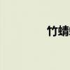 竹蜻蜓（关于竹蜻蜓介绍）