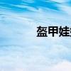 盔甲娃娃（关于盔甲娃娃介绍）