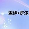盖伊·罗尔夫（关于盖伊·罗尔夫介绍）