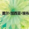 盖尔·加西亚·埃布尔纳（关于盖尔·加西亚·埃布尔纳介绍）