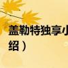 盖勒特独享小公寓（关于盖勒特独享小公寓介绍）