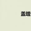 盖增圣（关于盖增圣介绍）