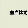 盖卢比尤省（关于盖卢比尤省介绍）