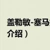盖勒敏-塞马拉大区（关于盖勒敏-塞马拉大区介绍）