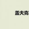 盖夫克夜（关于盖夫克夜介绍）