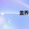 盖乔夫（关于盖乔夫介绍）
