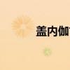 盖内伽古（关于盖内伽古介绍）