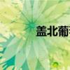 盖北葡萄（关于盖北葡萄介绍）