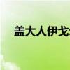 盖大人伊戈尔（关于盖大人伊戈尔介绍）