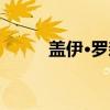 盖伊·罗森（关于盖伊·罗森介绍）