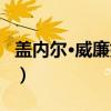 盖内尔·威廉姆斯（关于盖内尔·威廉姆斯介绍）