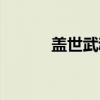 盖世武魂（关于盖世武魂介绍）
