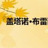 盖塔诺·布雷西（关于盖塔诺·布雷西介绍）