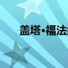 盖塔·福法纳（关于盖塔·福法纳介绍）