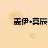 盖伊·莫辰特（关于盖伊·莫辰特介绍）
