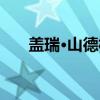 盖瑞·山德林（关于盖瑞·山德林介绍）