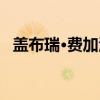 盖布瑞·费加洛（关于盖布瑞·费加洛介绍）