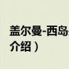 盖尔曼-西岛关系式（关于盖尔曼-西岛关系式介绍）