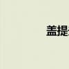 盖提夫（关于盖提夫介绍）