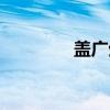 盖广生（关于盖广生介绍）