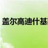 盖尔高迪什基斯（关于盖尔高迪什基斯介绍）