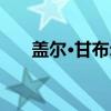 盖尔·甘布尔（关于盖尔·甘布尔介绍）