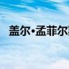 盖尔·孟菲尔斯（关于盖尔·孟菲尔斯介绍）