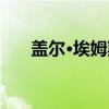 盖尔·埃姆斯（关于盖尔·埃姆斯介绍）