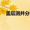 盖层测井分析（关于盖层测井分析介绍）