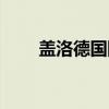 盖洛德国际（关于盖洛德国际介绍）