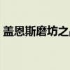 盖恩斯磨坊之战（关于盖恩斯磨坊之战介绍）