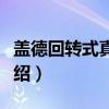 盖德回转式真空泵（关于盖德回转式真空泵介绍）