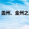 盖州、金州之战（关于盖州、金州之战介绍）