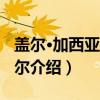盖尔·加西亚·贝纳尔（关于盖尔·加西亚·贝纳尔介绍）
