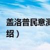 盖洛普民意测试所（关于盖洛普民意测试所介绍）