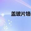 盖玻片培养（关于盖玻片培养介绍）