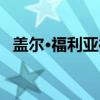 盖尔·福利亚德（关于盖尔·福利亚德介绍）