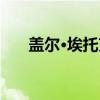 盖尔·埃托克（关于盖尔·埃托克介绍）