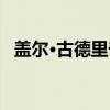 盖尔·古德里奇（关于盖尔·古德里奇介绍）