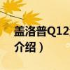 盖洛普Q12测评法（关于盖洛普Q12测评法介绍）
