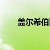 盖尔希伯爵（关于盖尔希伯爵介绍）