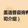 盖洛普咨询有限公司（关于盖洛普咨询有限公司介绍）