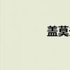 盖莫夫（关于盖莫夫介绍）