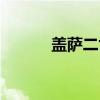 盖萨二世（关于盖萨二世介绍）