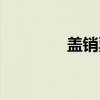 盖销票（关于盖销票介绍）