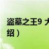 盗墓之王9 大结局（关于盗墓之王9 大结局介绍）